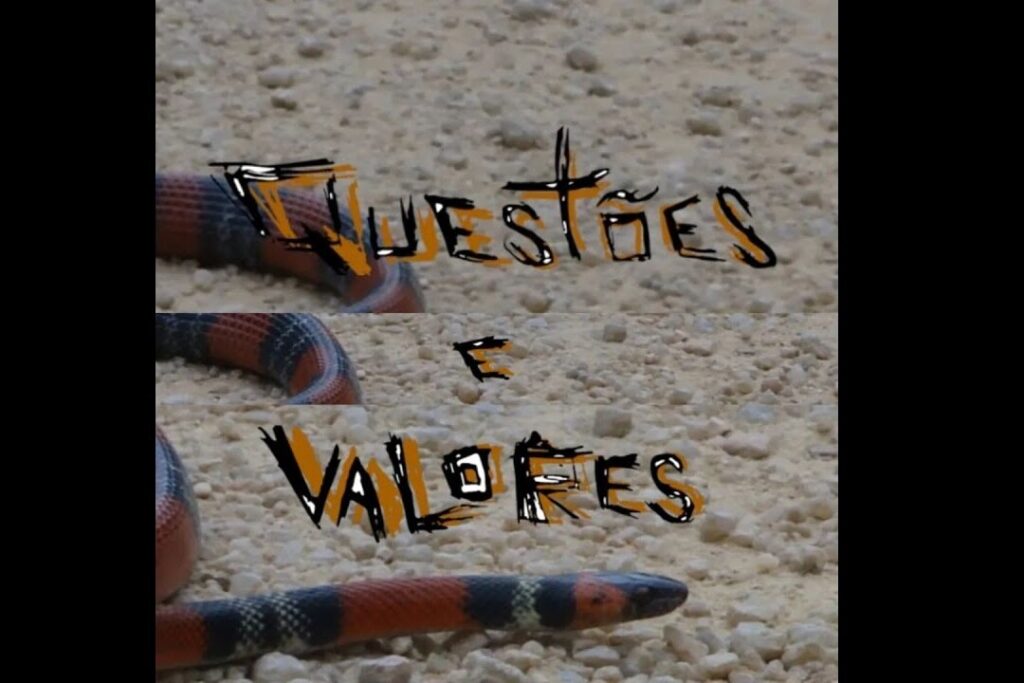 naturalmente questoes e valores video skate